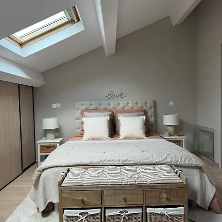 Appartement Type Loft Au Coeur De